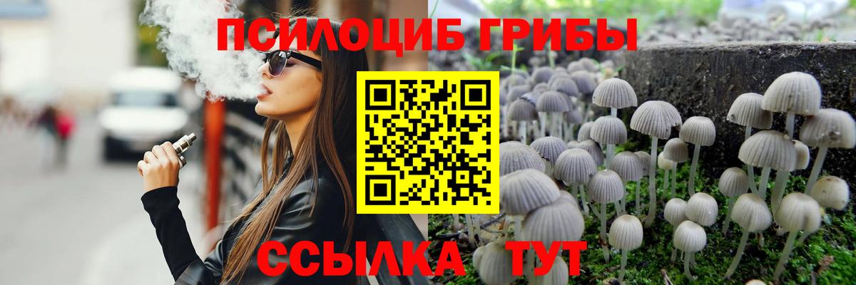 Псилоцибиновые грибы мицелий  Псилоцибиновые грибы Cubensis  Амурск  Вход с VPN 
